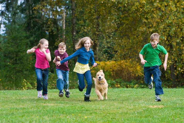 children_dog_running