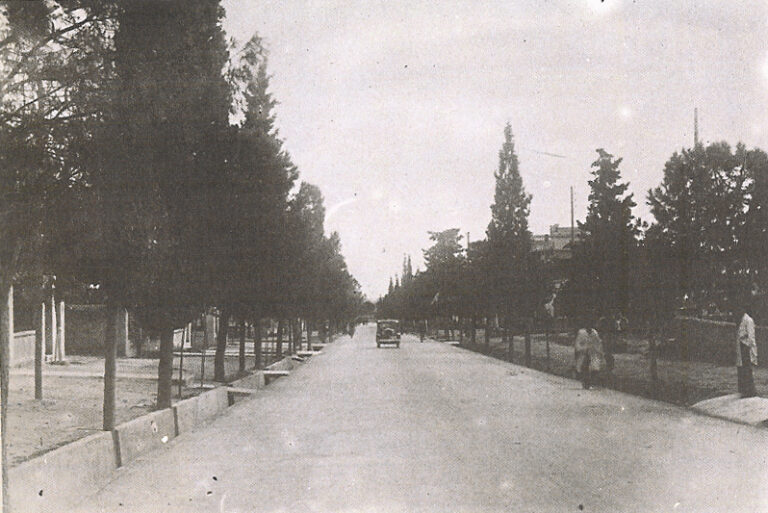 Δήμος Φ.Χ.: ΠΡΟΣΤΑΣΙΑ ΚΑΙ ΑΝΑΔΕΙΞΗ ΚΥΠΑΡΙΣΣΙΩΝ