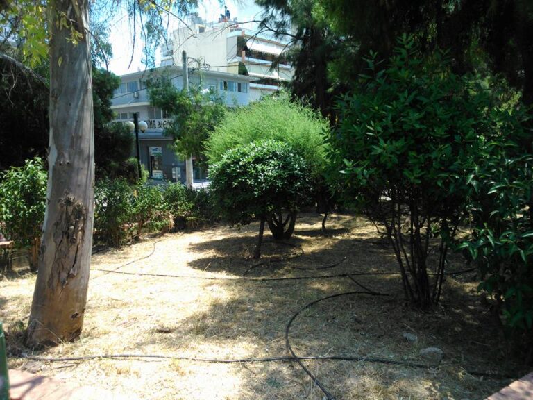 Ο Δήμος για την “Πράσινη Κυριακή”