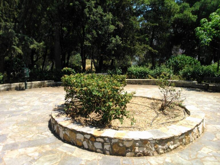 “Πράσινη Κυριακή” (ΦΩΤΟΡΕΠΟΡΤΑΖ)