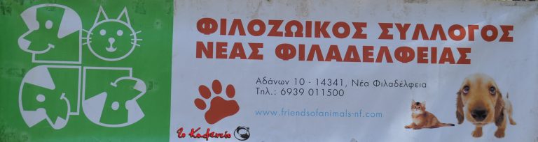 Bazaar στον Φιλοζωικό (φωτορεπορτάζ)