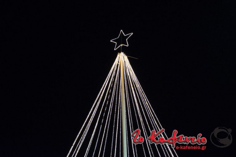 Άναψε το δέντρο στο Πάρκο Γ. Αποστολάκη στη Ν. Χαλκηδόνα (φωτορεπορτάζ)