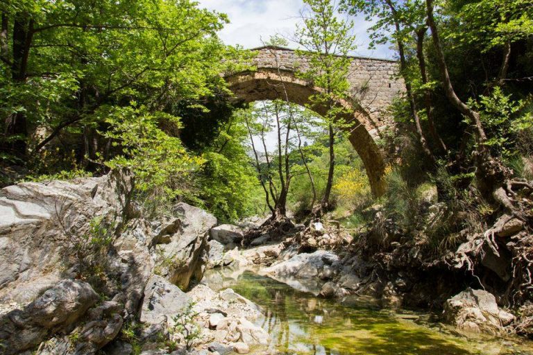 ΌΑΣΗ: Γιορτή Μάη και Κερασιού στον ΠΛΑΤΑΝΟ ΚΥΝΟΥΡΙΑΣ
