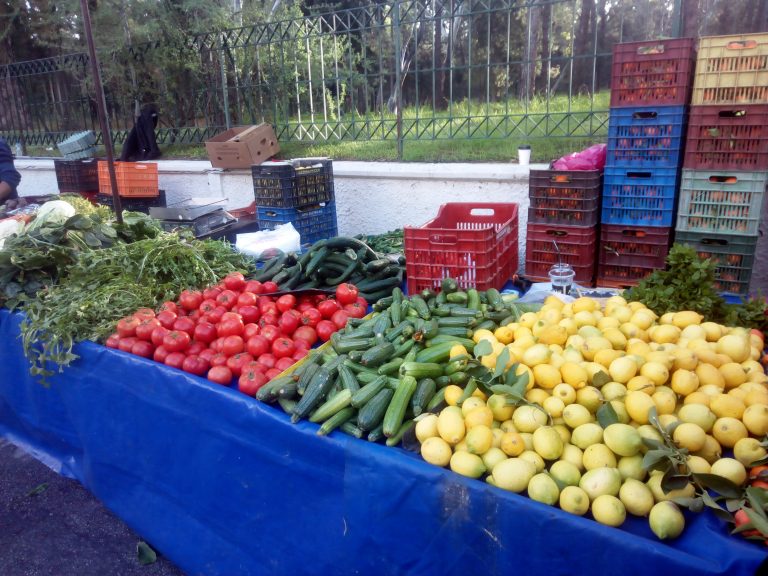26η Δράση  «Χωριού Παραγωγών – Χωρίς Μεσάζοντες»