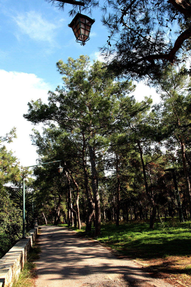 Υπογράφηκε σύμβαση για κατασκευή ποδηλατόδρομων & παιδικών χαρών στο Άλσος