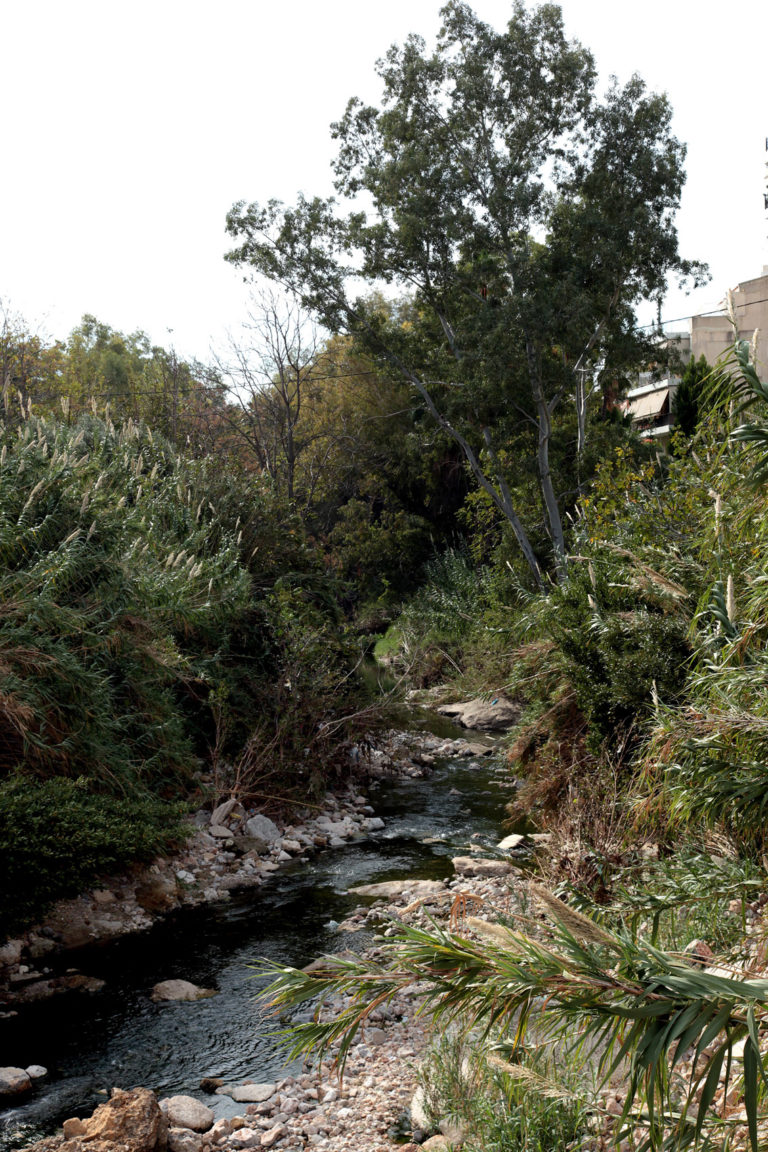 Προσφυγή ενάντια στην τσιμεντοποίηση του Ποδονίφτη, κατέθεσε στο ΣΤΕ ο Δήμος Ν. Φιλαδέλφειας- Ν. Χαλκηδόνας