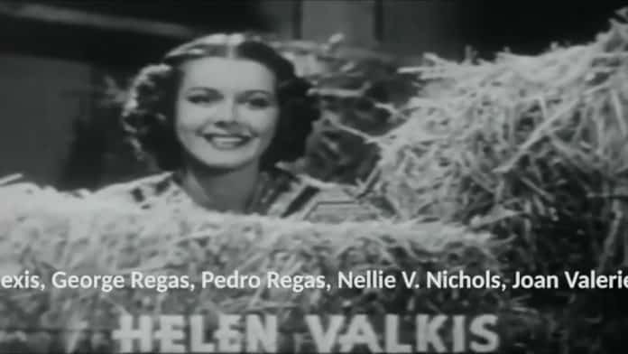 Προσεχώς στο 21ο Φεστιβάλ Ντοκιμαντέρ Θεσσαλονίκης – Πρώτη προβολή 1 Μαρτίου 2019