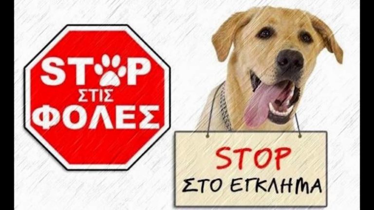 Ασυνείδητοι σκορπίζουν φόλες και θέτουν σε κίνδυνο την ασφάλεια και τη ζωή