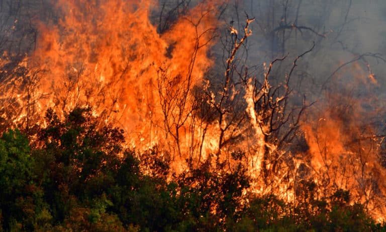 Φωτιά ΤΩΡΑ: Δείτε που έχει πυρκαγιές σε όλη την Ελλάδα