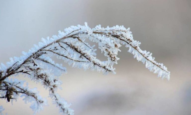 Χριστούγεννα και πρωτοχρονιά 2019: Τι λένε τα μερομήνια για τον καιρό