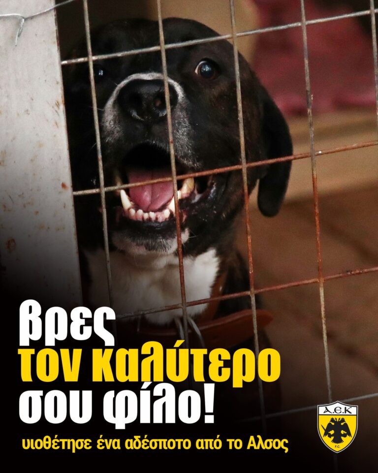 ΠΑΕ ΑΕΚ: Βρες τον καλύτερο σου φίλο