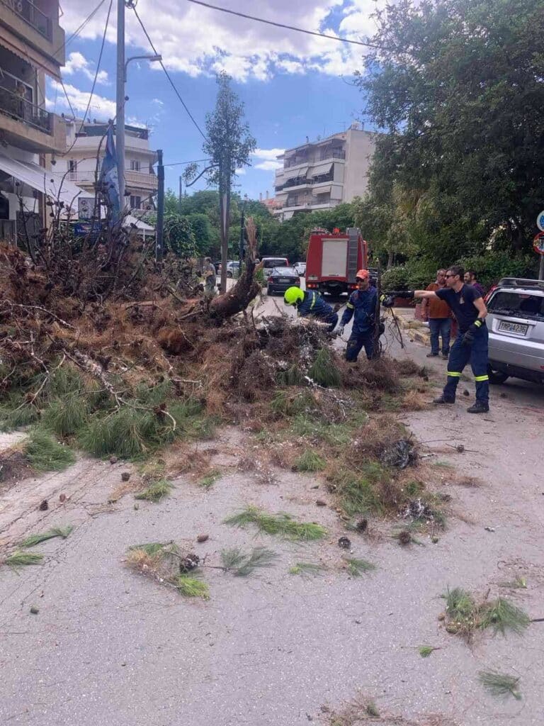 Άμεση η απομάκρυνση των κλαδιών από την πτώση πεύκου στη Ν. Τρυπιά