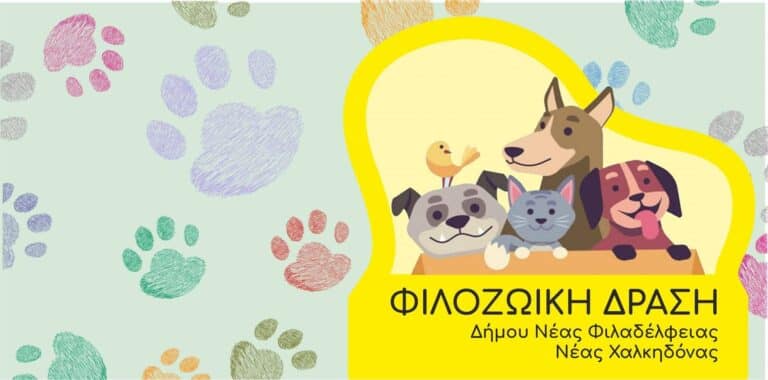 Δωρεάν διάθεση ζωοτροφών και νέες ταΐστρες – ποτίστρες για τις αδέσποτες γάτες από τον Δήμο