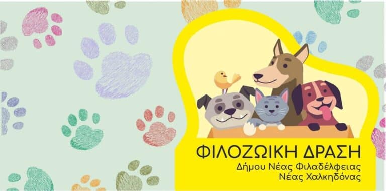 Νέα ημερομηνία δωρεάν διάθεσης ζωοτροφών σε φιλόζωους πολίτες για τις αδέσποτες γάτες – Κάθε μήνα η διανομή από τον Δήμο Νέας Φιλαδέλφειας-Νέας Χαλκηδόνας