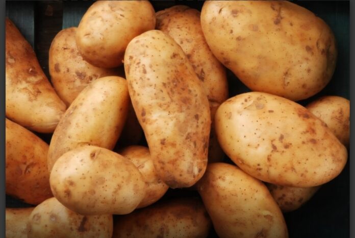 Σήμερα η Διανομή Δωρεάν Πατάτας