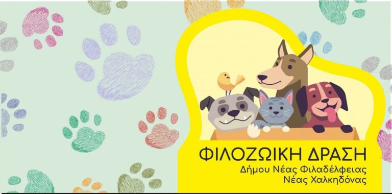 Δωρεάν τροφές για αδέσποτες γάτες στη Νέα Φιλαδέλφεια – Νέα Χαλκηδόνα