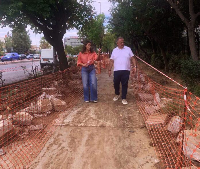 Ανάπλαση Λεωφόρου Δεκελείας